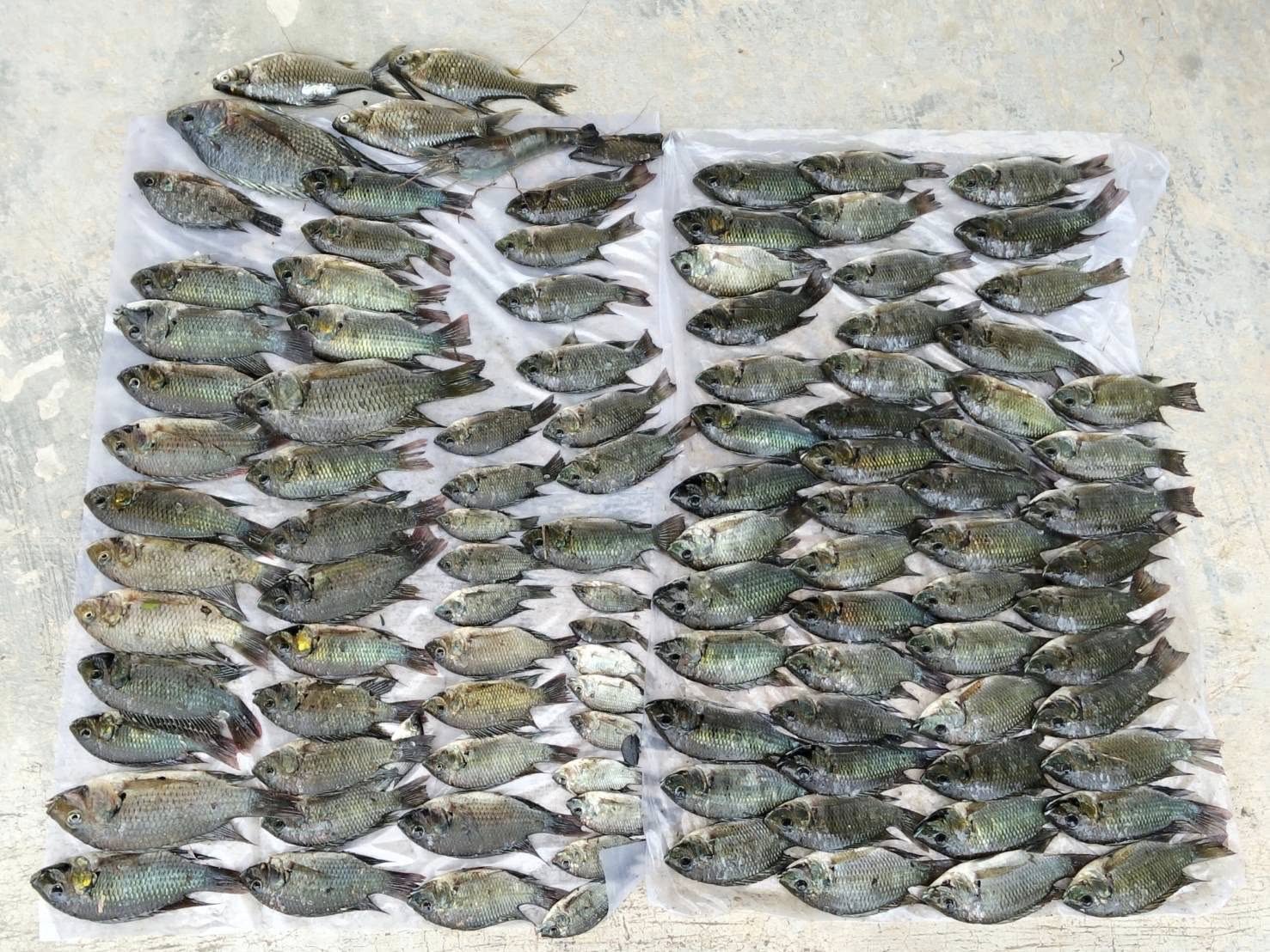 รูป ประกอบบทความ18