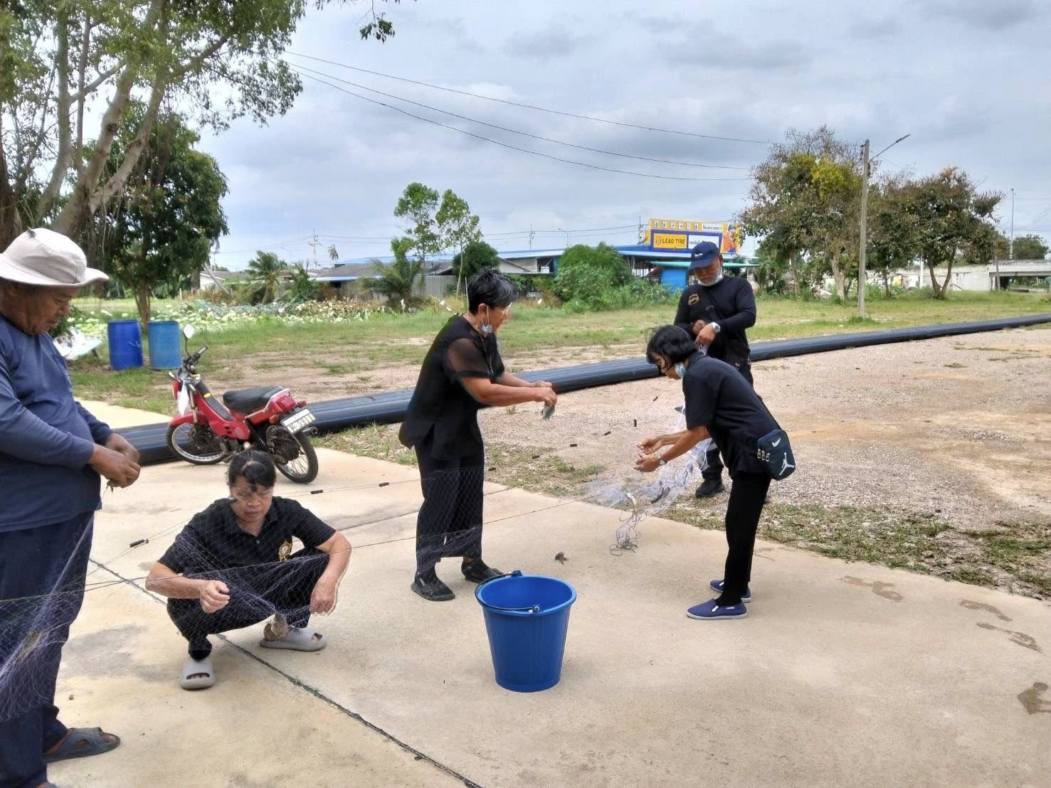 รูป ประกอบบทความ5