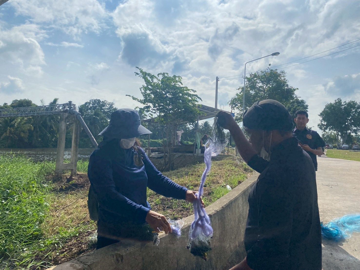 รูป ประกอบบทความ3