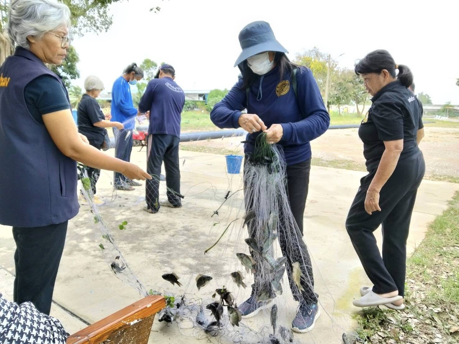 รูป ประกอบบทความ1