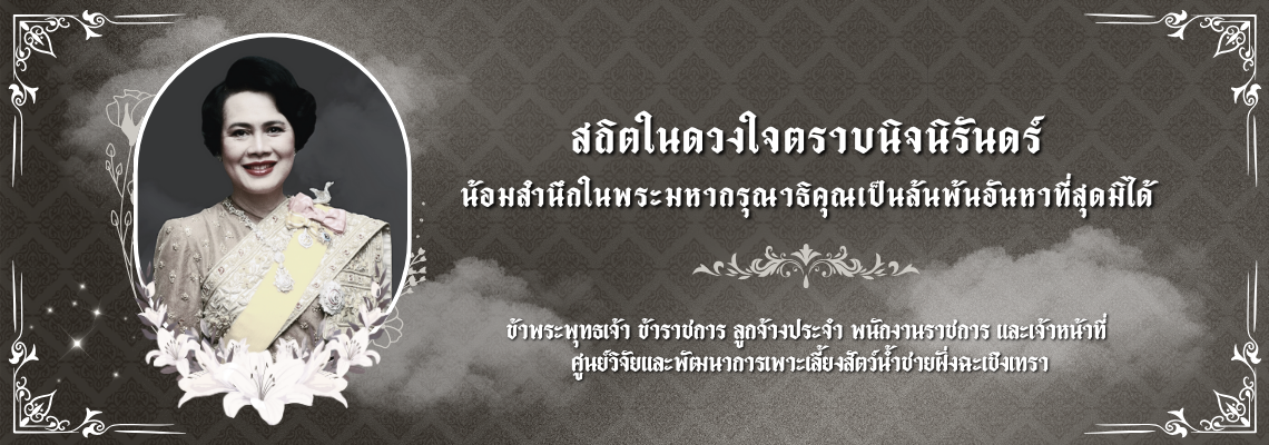 สถิตในดวงใจตราบนิจนิรันดร์..คลิก