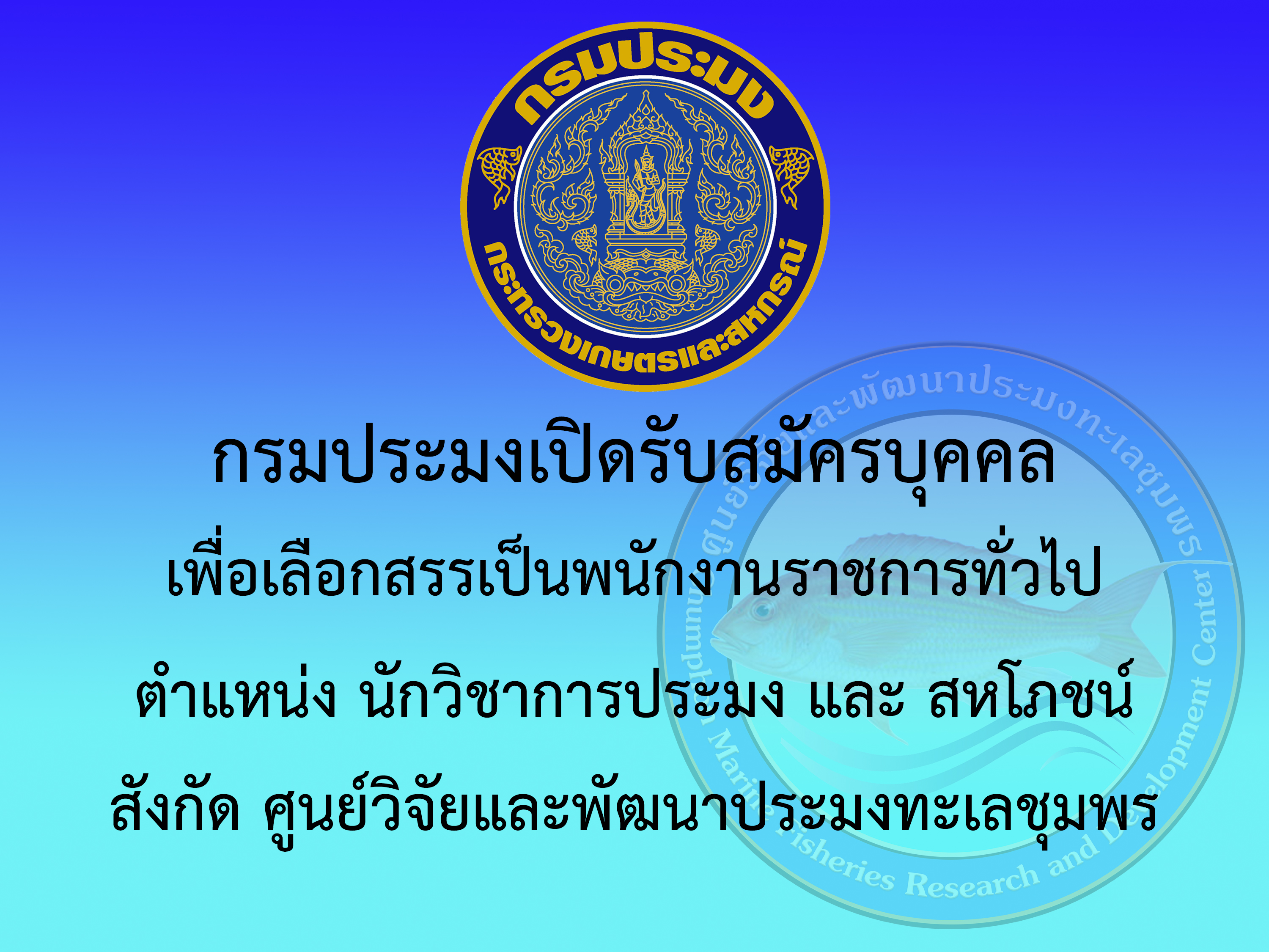 ประกาศกรมประมง เรื่อง รับสมัครบุคคลเพื่อเลือกสรรเป็นพนักงานราชการทั่วไป ตำแหน่ง นักวิชาการประมง และ สหโภชน์ สังกัดศูนย์วิจัยและพัฒนาประมงทะเลชุมพร (เปิดรับสมัคร : วันที่ 27 พฤศจิกายน - 8 ธันวาคม พ.ศ. 2568)