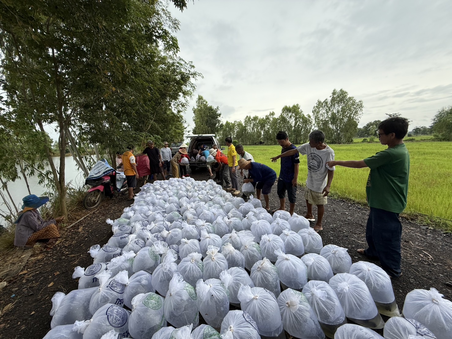 ดำเนินกิจกรรมปล่อยพันธุ์สัตว์น้ำ ภายใต้โครงการบริหารจัดการทรัพยากรประมง ประจำปีงบประมาณ 2568 ณ แหล่งน้ำหนองโคน..คลิก