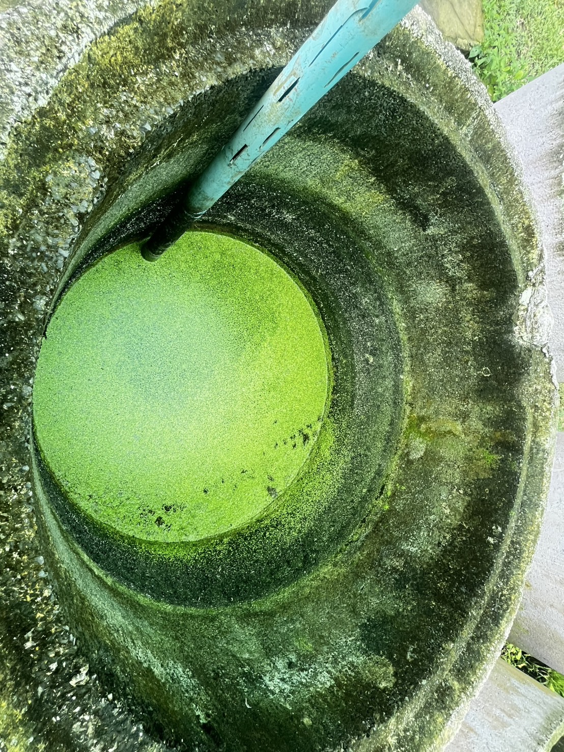 ติดตามโครงการสนับสนุนด้านการประมงตามพระราชดำริฯ สมเด็จพระกนิษฐาธิราชเจ้า กรมสมเด็จพระเทพรัตนราชสุดาฯ สยามบรมราชกุมารี ประจำปีงบประมาณ 2568..คลิก