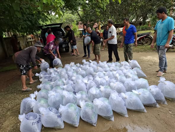 ดำเนินกิจกรรมปล่อยพันธุ์สัตว์น้ำ ภายใต้โครงการบริหารจัดการทรัพยากรประมง ประจำปีงบประมาณ 2568 ณ แหล่งน้ำหนองคัน..คลิก