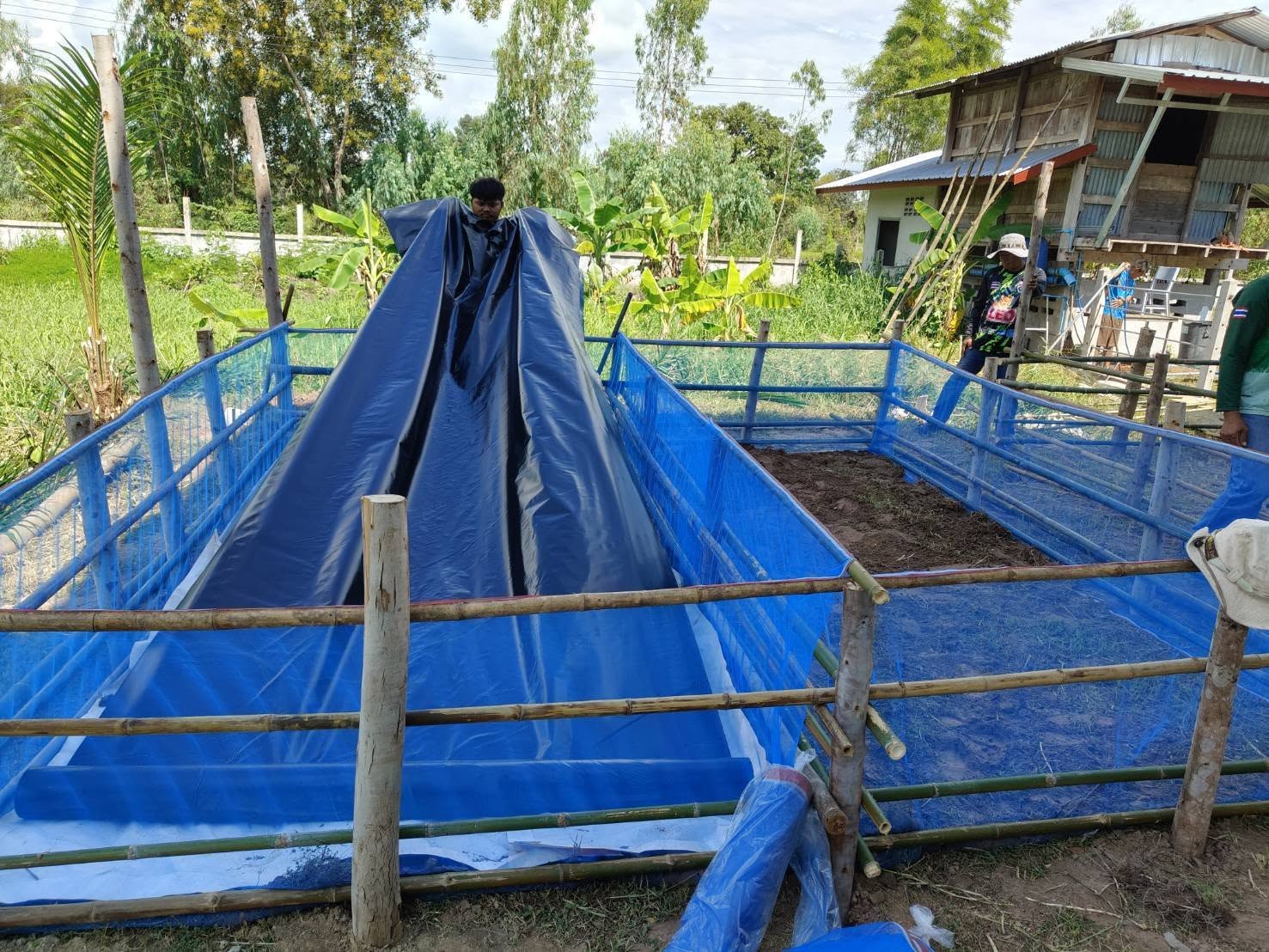 โครงการประมงโรงเรียน เพื่อสร้างอาหารกลางวันและองค์ความรู้ด้านการเลี้ยงปลา