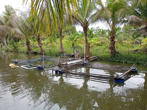“ประมงศรีสะเกษ ติดตามการดำเนินงานศูนย์เรียนรู้การเพิ่มประสิทธิภาพการผลิตสินค้าเกษตร (ศพก.) ปีงบประมาณ 2568”