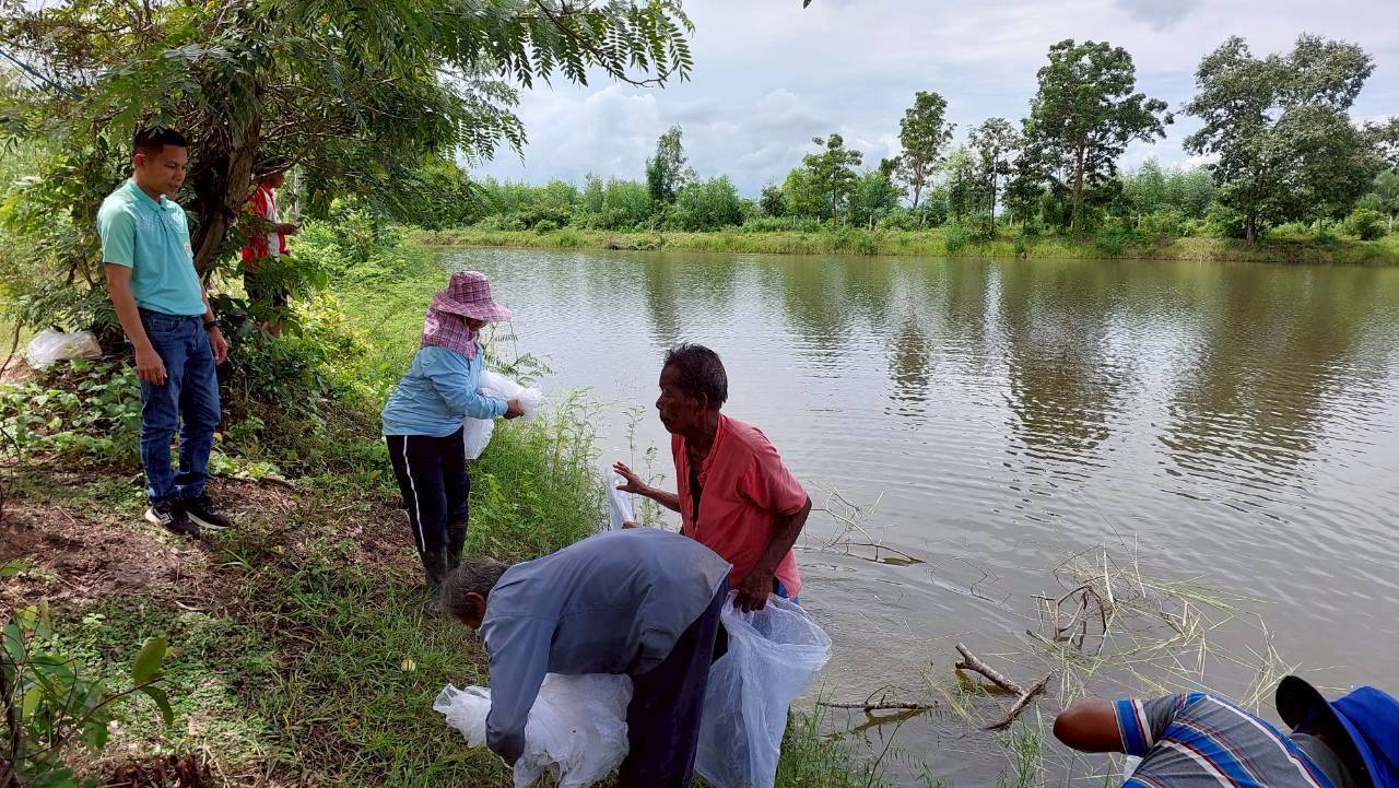 ปล่อยพันธุ์สัตว์น้ำเพิ่มผลผลิตในแหล่งน้ำชุมชน อำเภอขุขันธ์ จังหวัดศรีสะเกษ