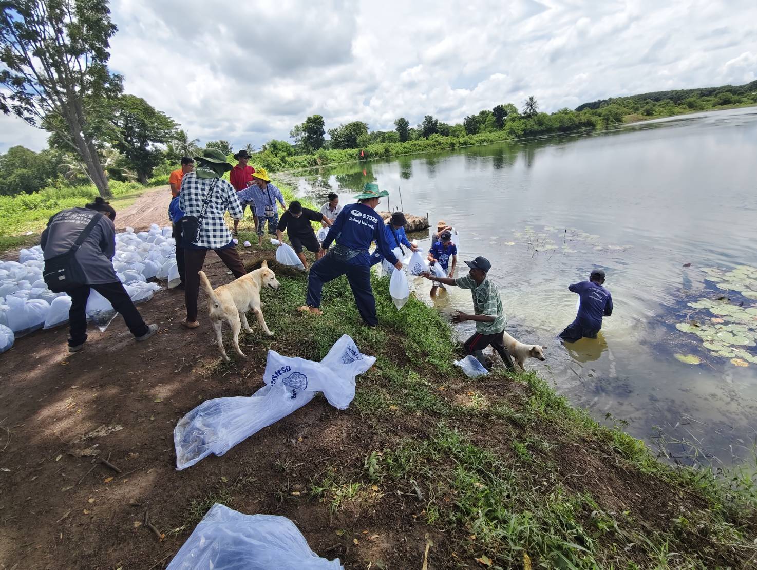 ดำเนินกิจกรรมปล่อยพันธุ์สัตว์น้ำ ภายใต้โครงการบริหารจัดการทรัพยากรประมง ปีงบประมาณ 2568 ณ หนองบ้านจำนรรจ์..คลิก