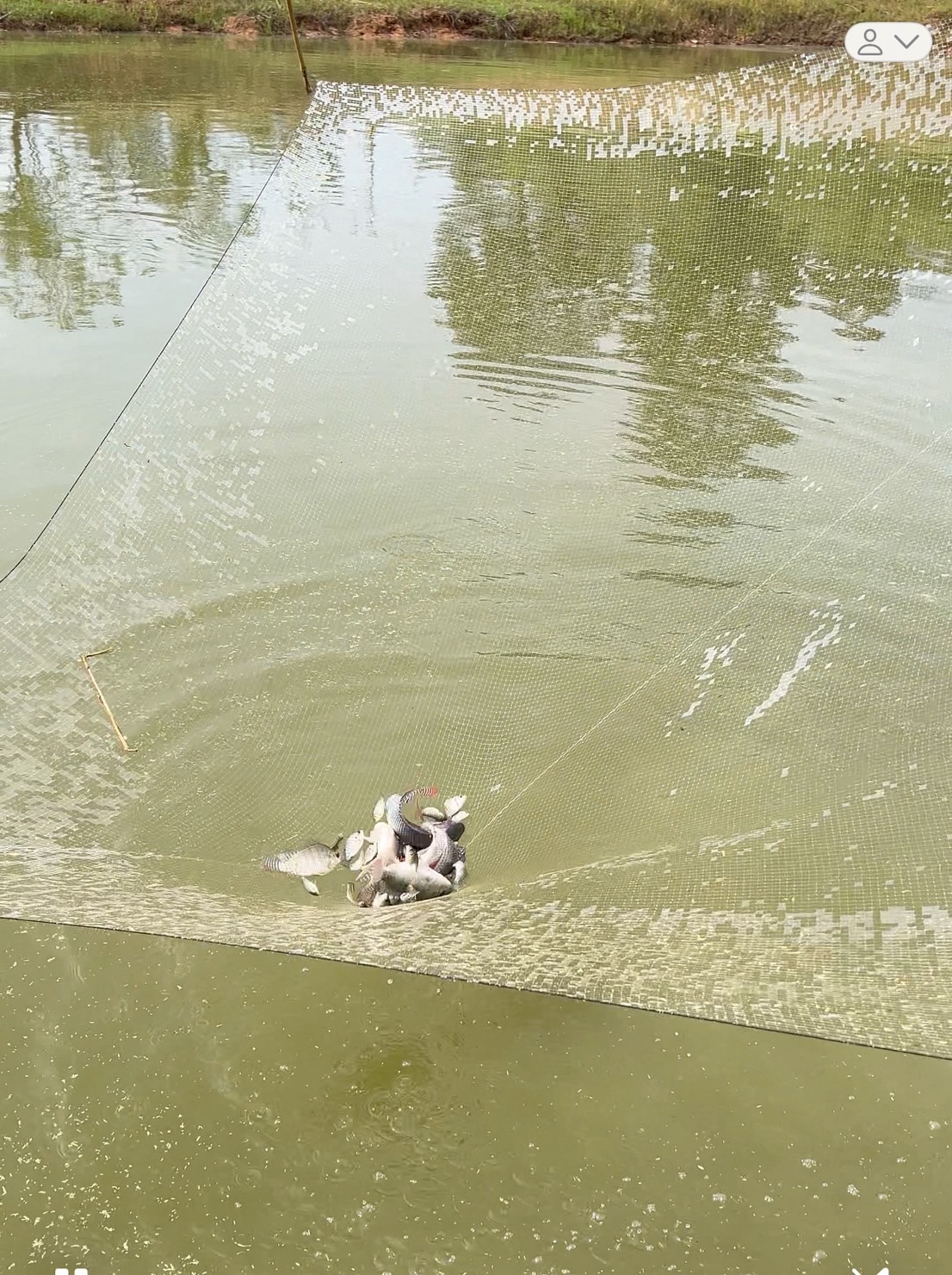 ตรวจเยี่ยม ประเมินศักยภาพศูนย์เรียนรู้การเพิ่มประสิทธิภาพการผลิตสินค้าเกษตร  ในพื้นที่ อ.หนองบัวระเหว จ.ชัยภูมิ..คลิก