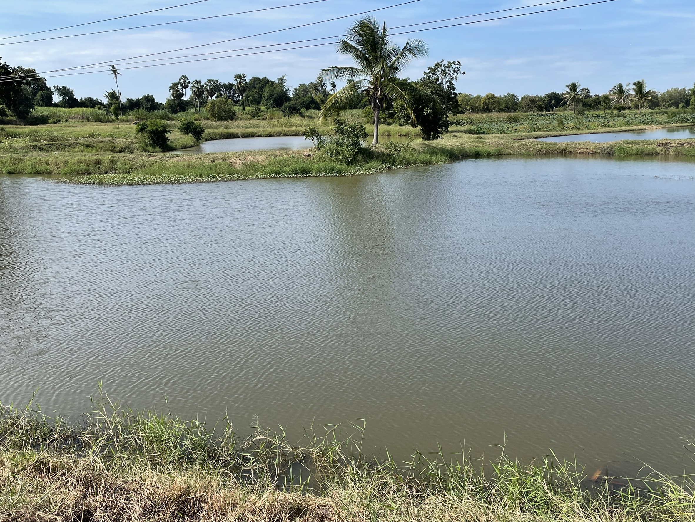 เตรียมความพร้อมเกษตรกรโครงการ ยกระดับคุณภาพมาตรฐานสินค้าเกษตร ในพื้นที่ อ.เนินสง่า จ.ชัยภูมิ..คลิก