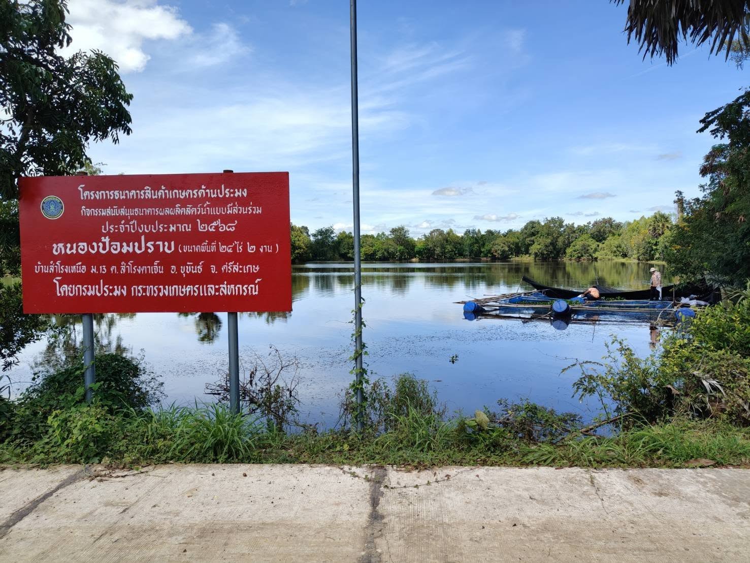 ปล่อยปลานิลแปลงเพศลงกระชังเพื่ออนุบาล ณ หนองป้อมปราบ