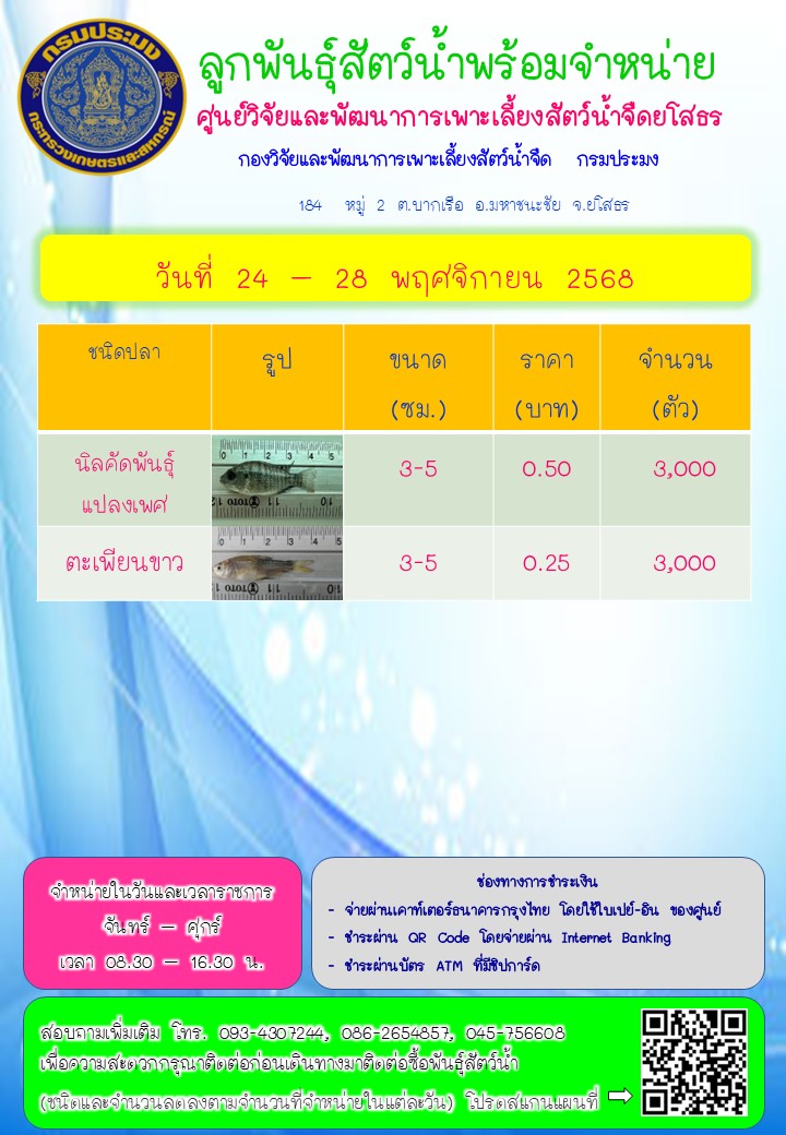 ลูกพันธุ์สัตว์น้ำพร้อมจำหน่าย 24 - 28 พ.ย. 2568