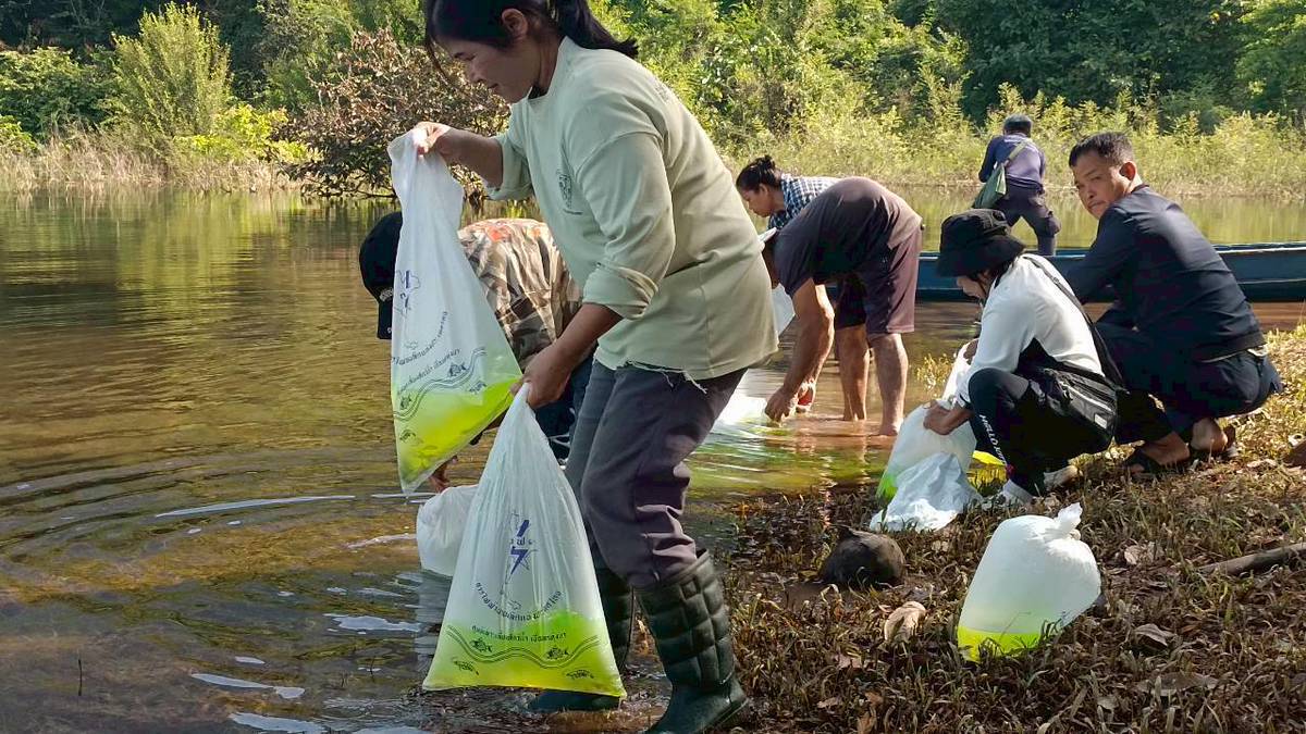 กิตกรรมจิตอาสาพัฒนาชุมชน (1ศูนย์ 1หน่วย 1ชุมชนประมงต้นแบบ) พ.ย. 2568 ครั่งที่2..คลิก