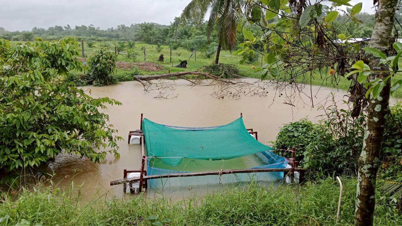 กลุ่มบริหารจัดการด้านการประมง ร่วมกับ สำนักงานเกษตรและสหกรณ์จังหวัดพัทลุง  สำนักงานเกษตรจังหวัดพัทลุง  ลงพื้นที่ติดตามสถานการณ์อุทกภัยที่ส่งผลกระทบต่อพื้นที่การเกษตรในพื้นที่อำเภอศรีนครินทร์ อำเภอเมืองพัทลุง  จังหวัดพัทลุง..คลิก