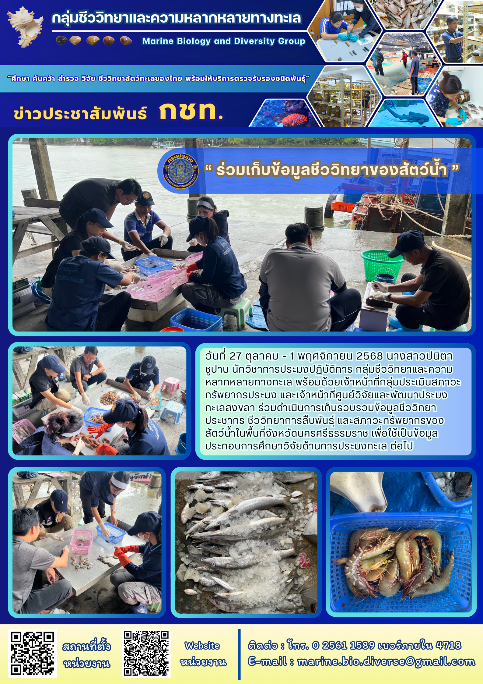 วันที่ 27 ตุลาคม - 1 พฤศจิกายน 2568 นางสาวปนิตา ชูปาน นักวิชาการประมงปฏิบัติการ กลุ่มชีววิทยาและความหลากหลายทางทะเล พร้อมด้วยเจ้าหน้าที่กลุ่มประเมินสภาวะทรัพยากรประมง และเจ้าหน้าที่ศูนย์วิจัยและพัฒนาประมงทะเลสงขลา ร่วมดำเนินการเก็บรวบรวมข้อมูลชีววิทยาประชากร