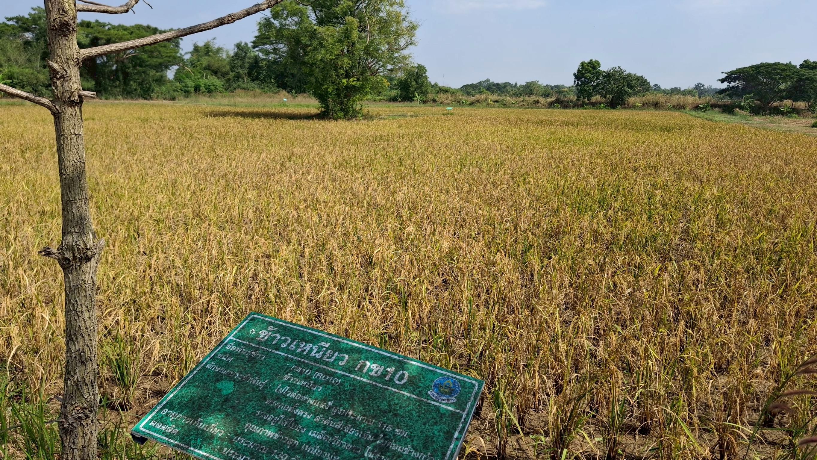 เข้าร่วมประชุมเตรียมจัดกิจกรรมจิตอาสาพัฒนาวันสำคัญของชาติไทย