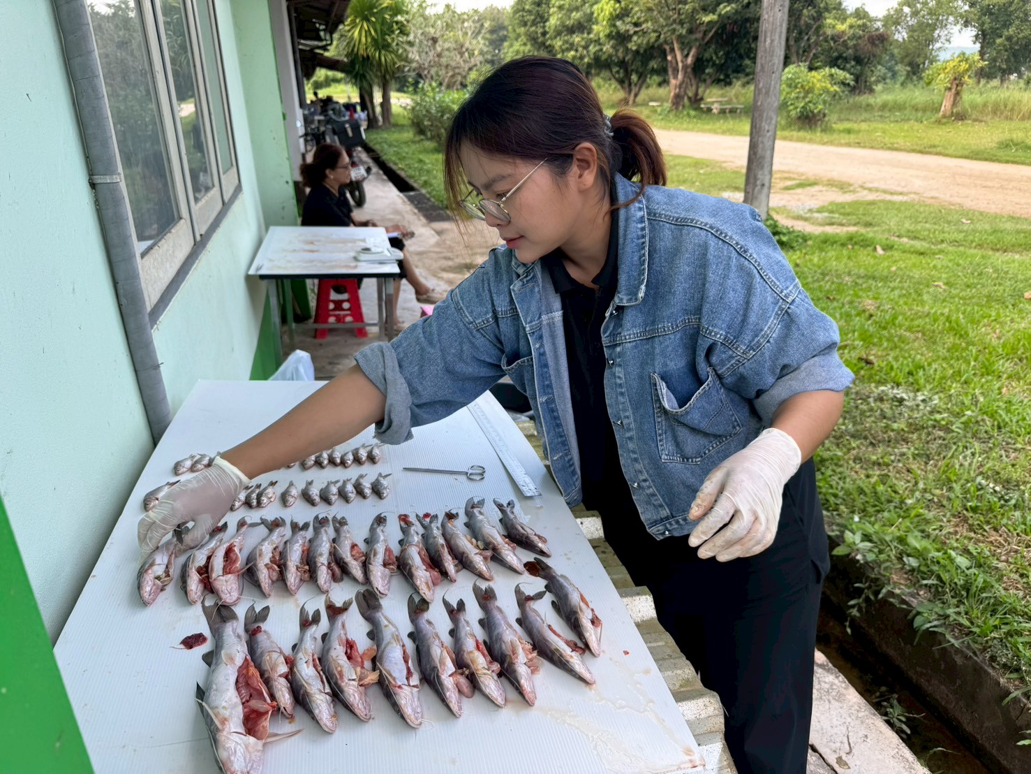 โครงการบริหารจัดการทรัพยากรประมง..คลิก