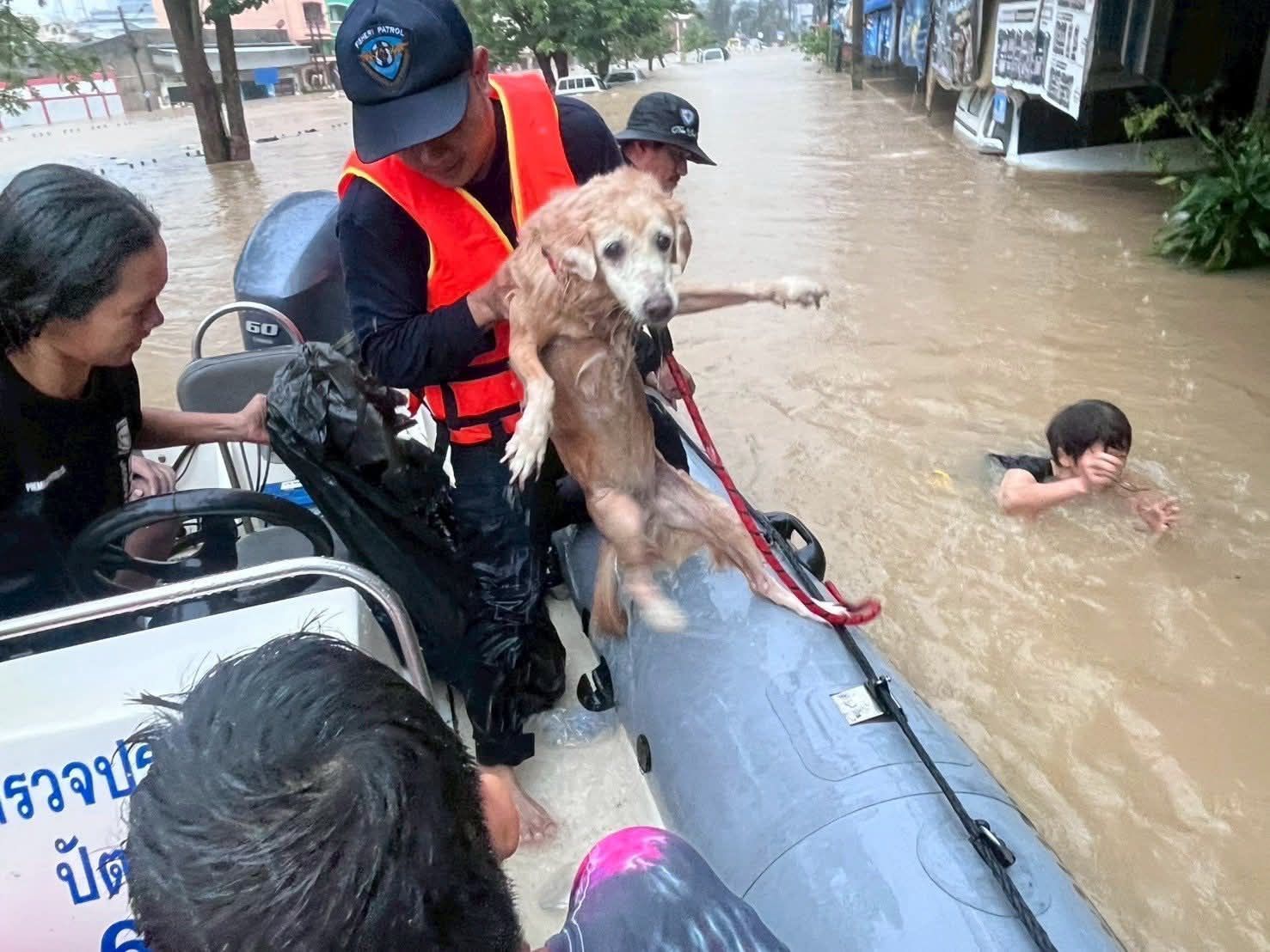 รูป ประกอบบทความ7