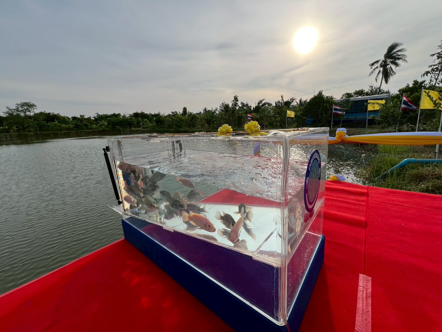 จัดกิจกรรมปล่อยพันธุ์ปลาพระราชทานในการบำเพ็ญพระราชกุศลวันสมเด็จพระมหาธีรราชเจ้า และพระราชพิธีทรงบำเพ็ญพระราชกุศลอภิลักขิตสมัย วันคล้ายวันสวรรคต พระบาทสมเด็จพระมงกฎเกล้าเจ้าอยู่หัว ครบ 100 ปี..คลิก