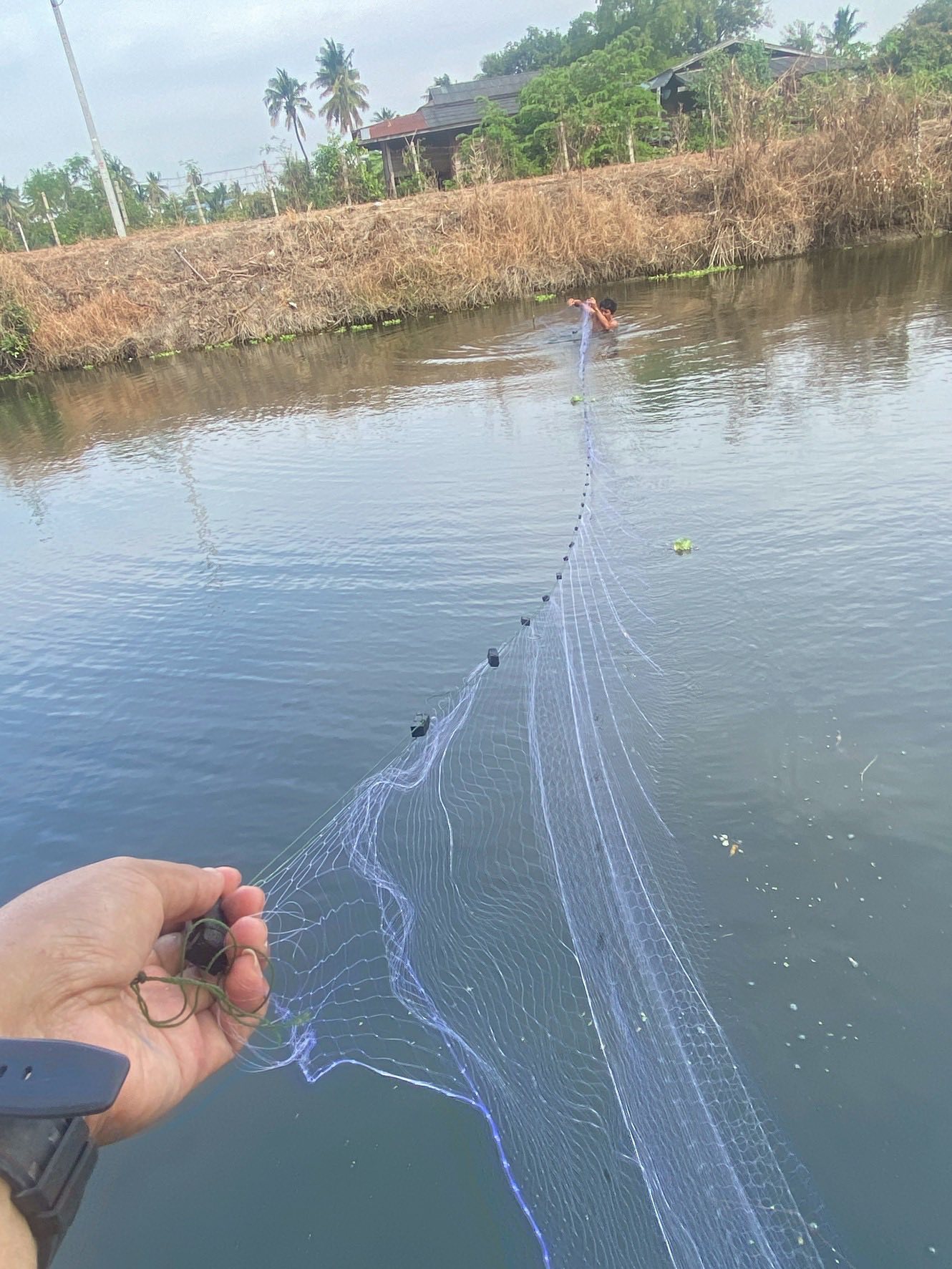 ร่วมทำกิจกรรมลงแขกลงคลองกำจัดปลาหมอคางดำ คลองเตาอิฐ อำเภอดำเนินสะดวก..คลิก