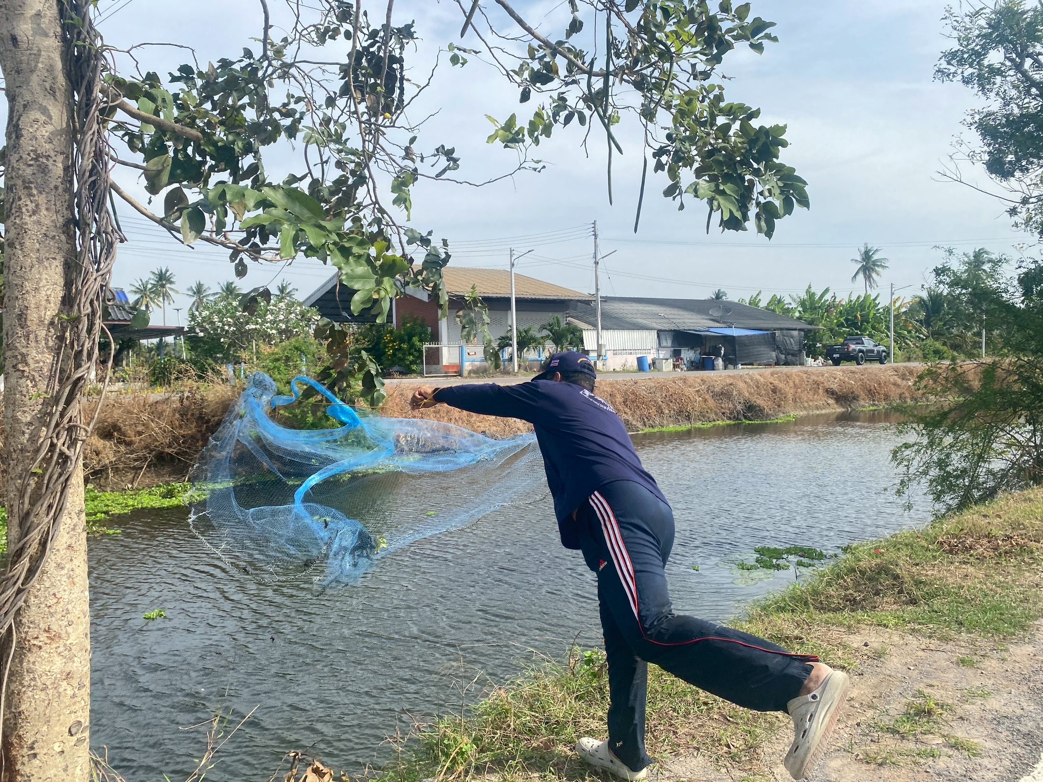 ร่วมทำกิจกรรมลงแขกลงคลองกำจัดปลาหมอคางดำ คลองเตาอิฐ อำเภอดำเนินสะดวก 