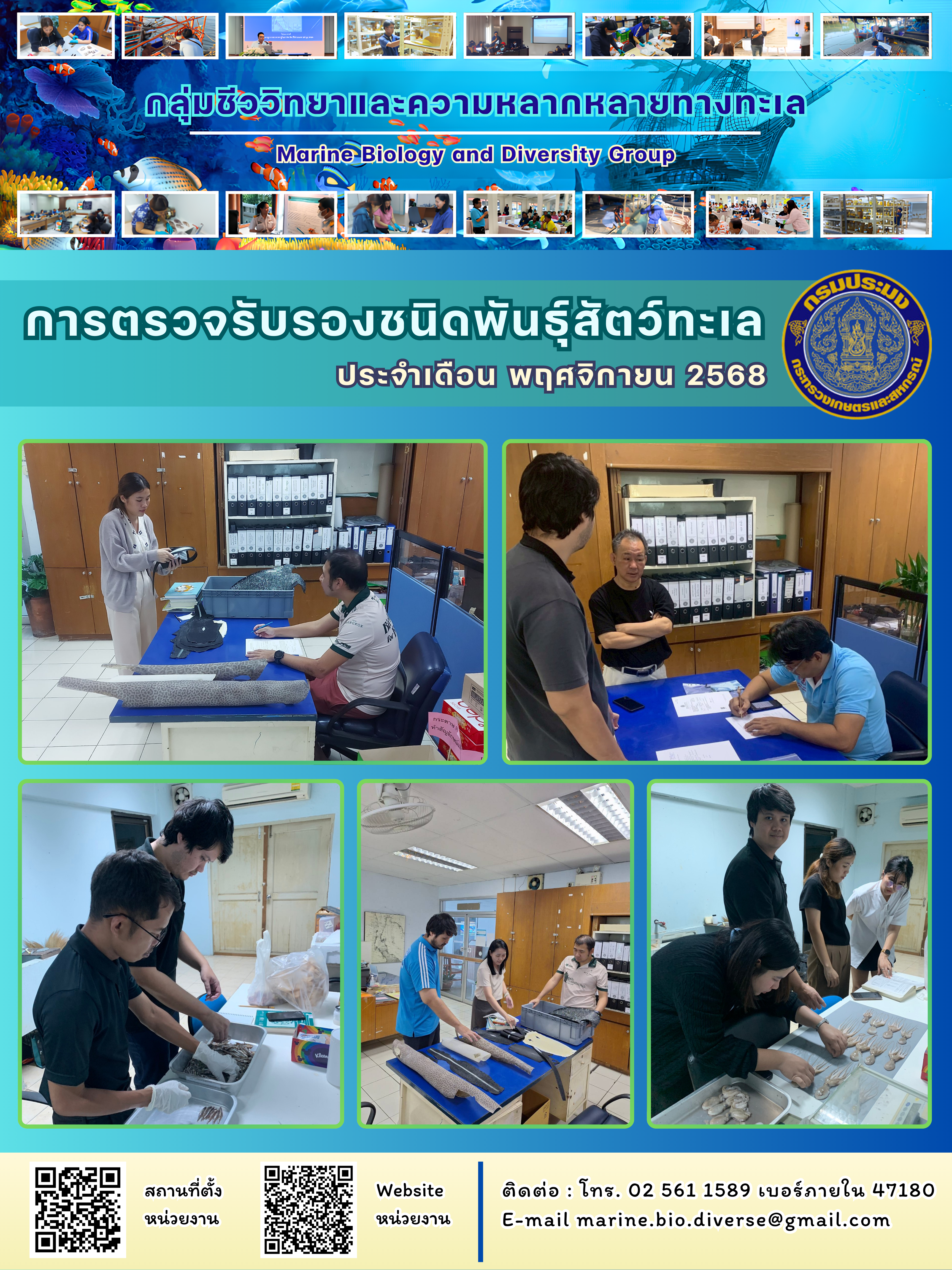 สรุปข้อมูลตรวจรับรองชนิดพันธุ์สัตว์ทะเล ประจำปี 2568 เดือนพฤศจิกายน..คลิก