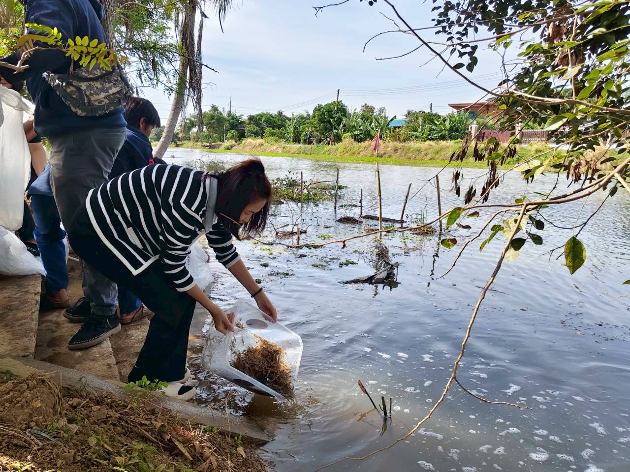 ร่วมปล่อยพันธุ์สัตว์น้ำเศรษฐกิจ 6 ชนิด ณ บึงคลองแพ บึงบ้านเชียง ในพื้นที่อำเภอสามโก้ และหนองลาดใหญ่ ในพื้นที่อำเภอไชโย จังหวัดอ่างทอง..คลิก
