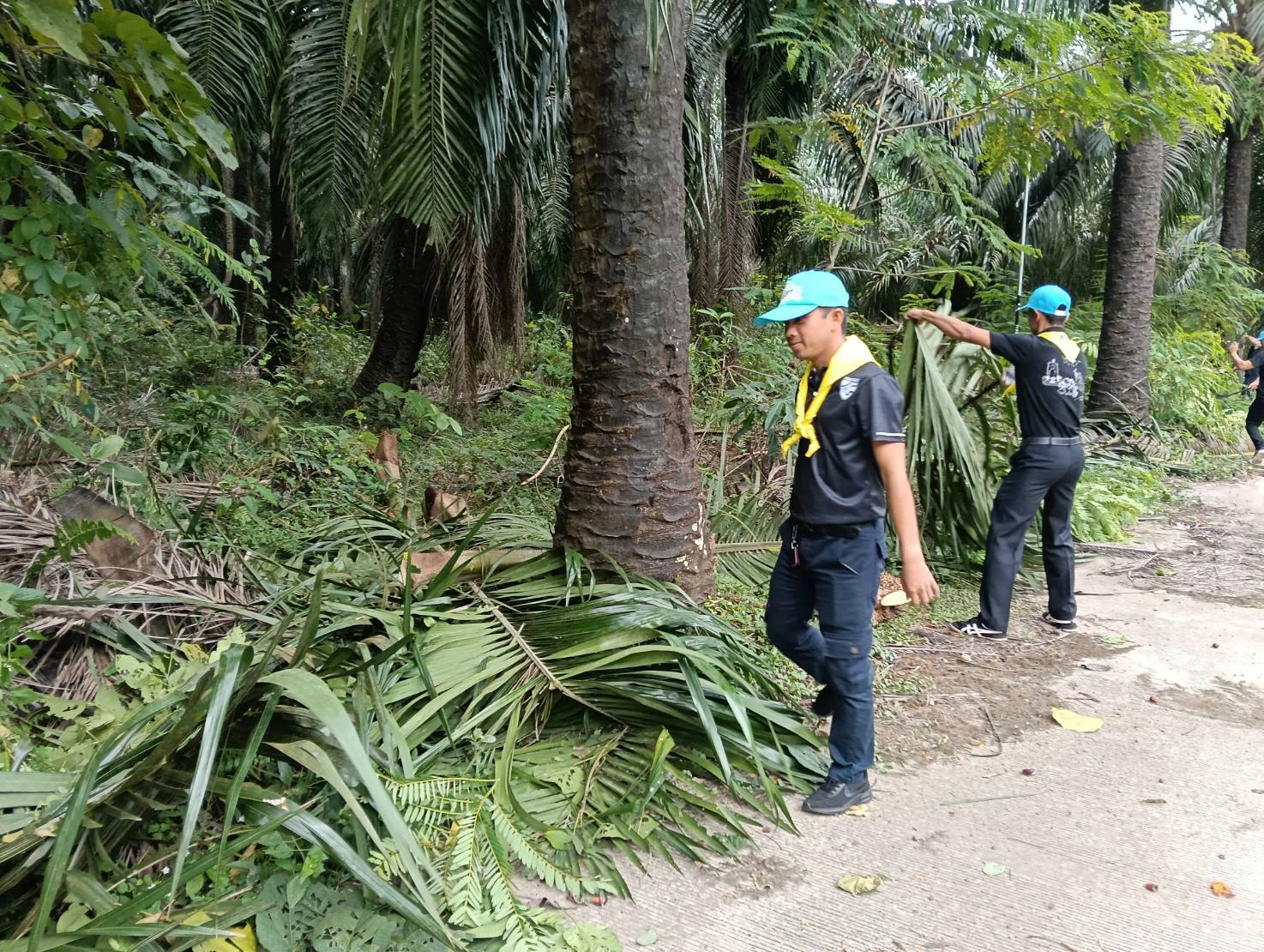 เข้าร่วมกิจกรรมจิตอาสาพัฒนาเนื่องในวันคล้ายวันสวรรคตพระบาทสมเด็จพระมงกุฎเกล้าเจ้าอยู่หัว (วันสมเด็จพระมหาธีรราชเจ้า)