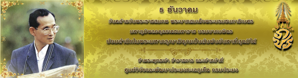 แบนเนอร์