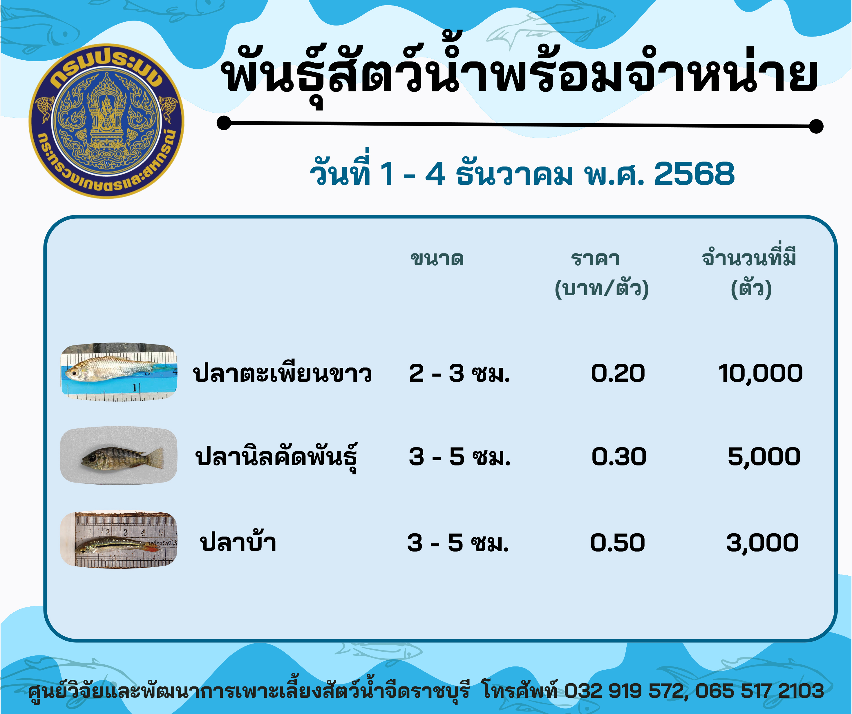 ลูกพันธุ์สัตว์น้ำพร้อมจำหน่ายสัปดาห์นี้ วันที่ 1 - 4 ธันวาคม พ.ศ. 2568