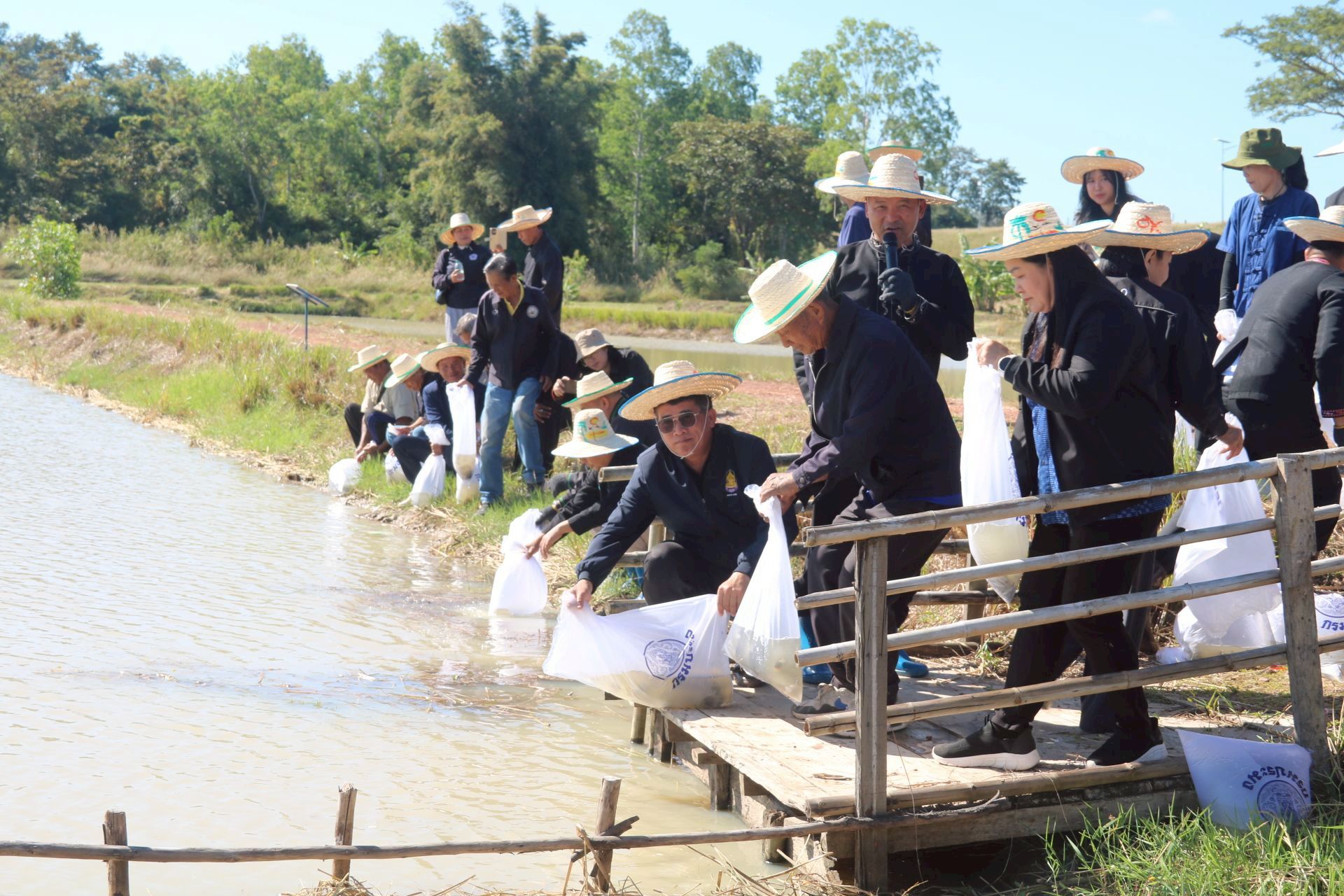 ร่วมกิจกรรมลงแขกเกี่ยวข้าว