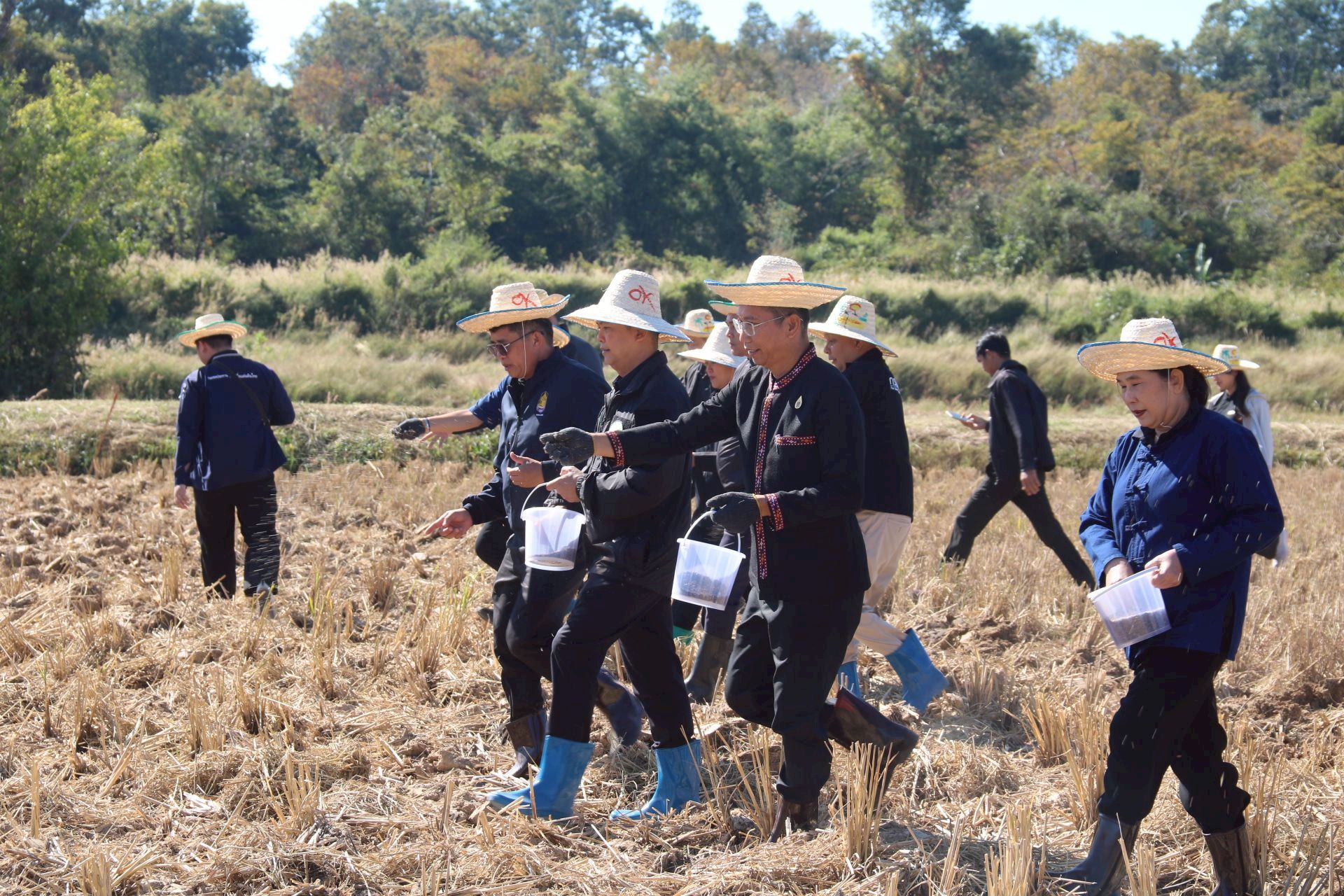 ร่วมกิจกรรมลงแขกเกี่ยวข้าว 