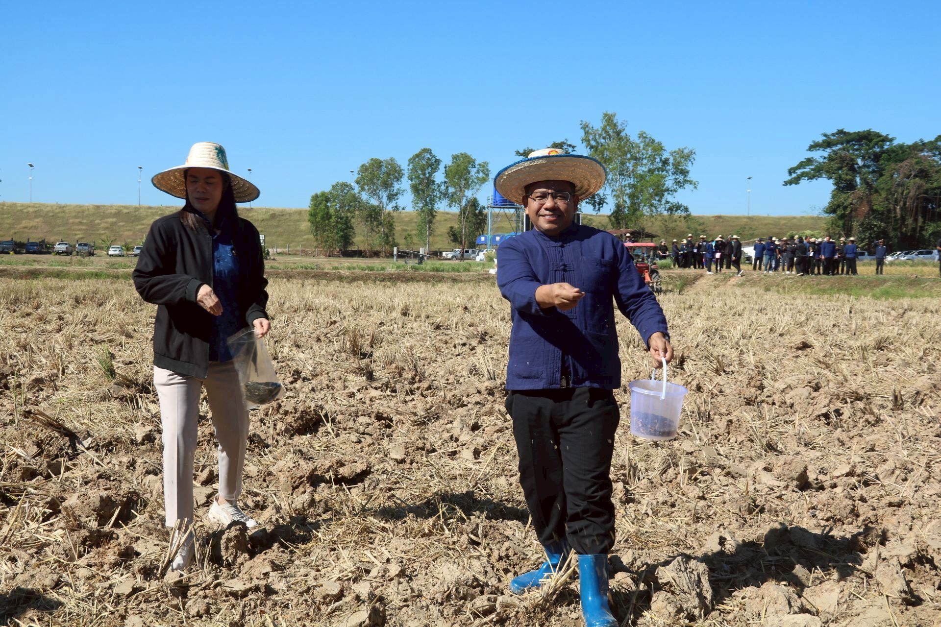 ร่วมกิจกรรมลงแขกเกี่ยวข้าว 