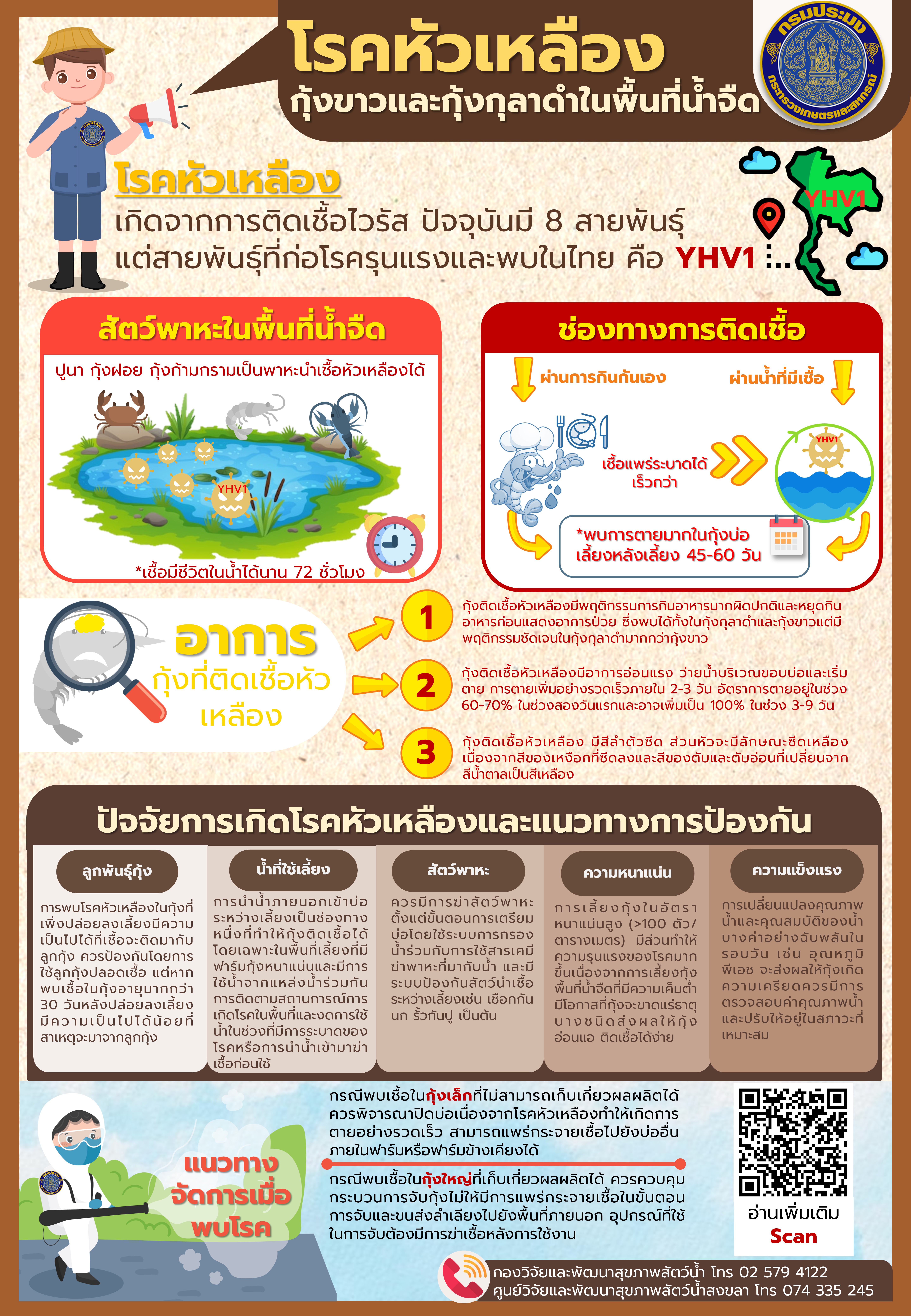 โรคหัวเหลืองในกุ้งขาวและกุ้งกุลาดำในพื้นที่น้ำจืด