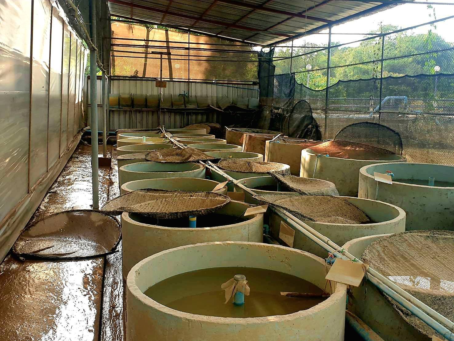 รูป ประกอบบทความ6