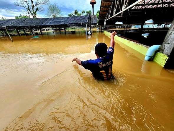 รูป ประกอบบทความ3