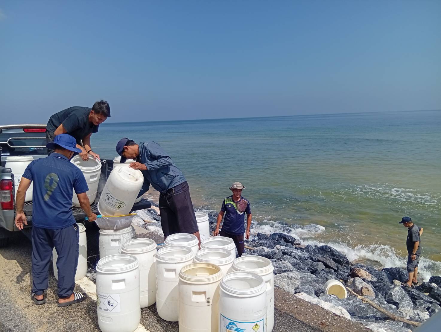 กิจกรรมปล่อยพันธุ์กุ้งแชบ๊วย จำนวน 2,000,000 ตัวและพันธุ์ปลากะพงขาวจำนวน 10,000 ตัว บริเวณบ้านดาโต๊ะ อ.ยะหริ่ง  จ.ปัตตานี