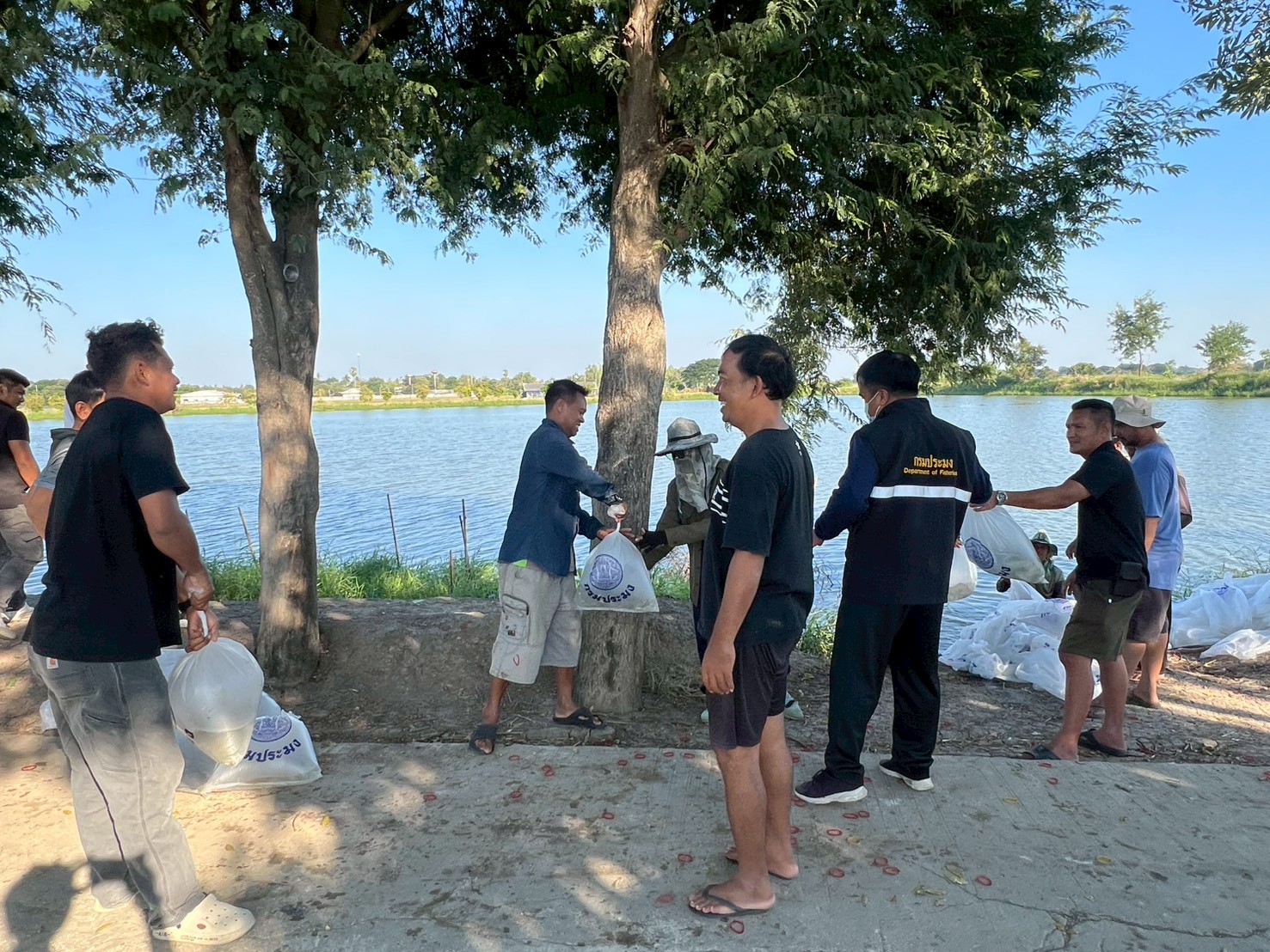 ร่วมปล่อยพันธุ์สัตว์น้ำเศรษฐกิจ 2 ชนิด ณ หนองลาดใหญ่ ในพื้นที่อำเภอไชโย จังหวัดอ่างทอง..คลิก