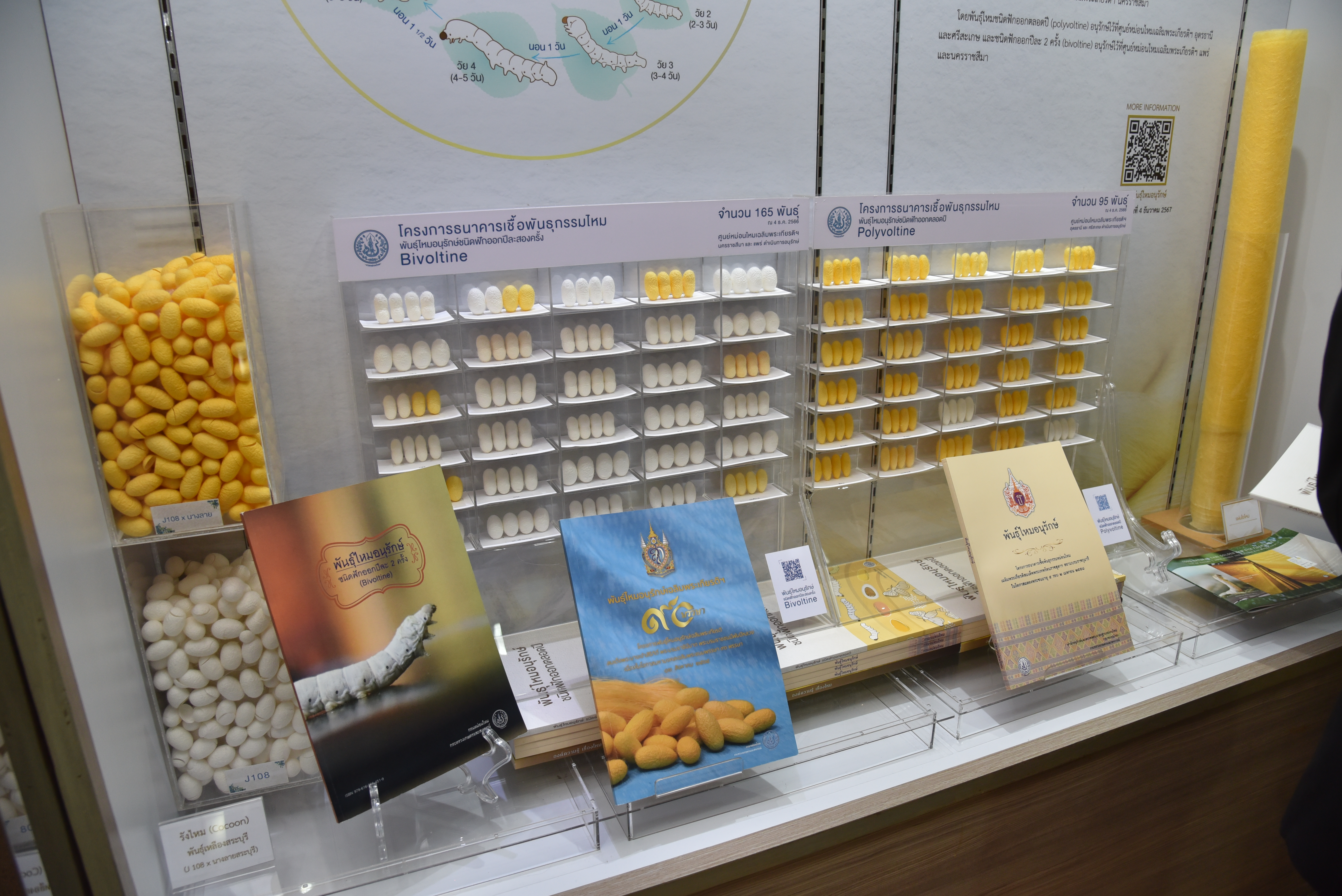 กรมประมงร่วมแสดงความยินดีเนื่องในโอกาสวันคล้ายวันสถาปนากรมหม่อนไหม ครบรอบ 16 ปี