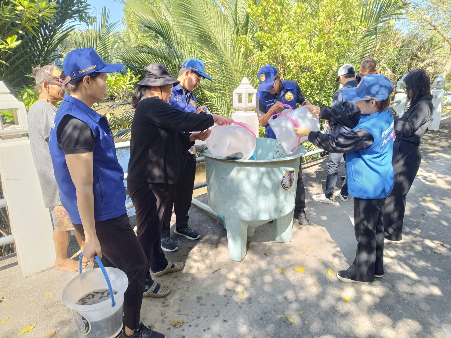 รูป ประกอบบทความ4