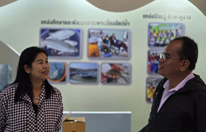 งานมหกรรม 