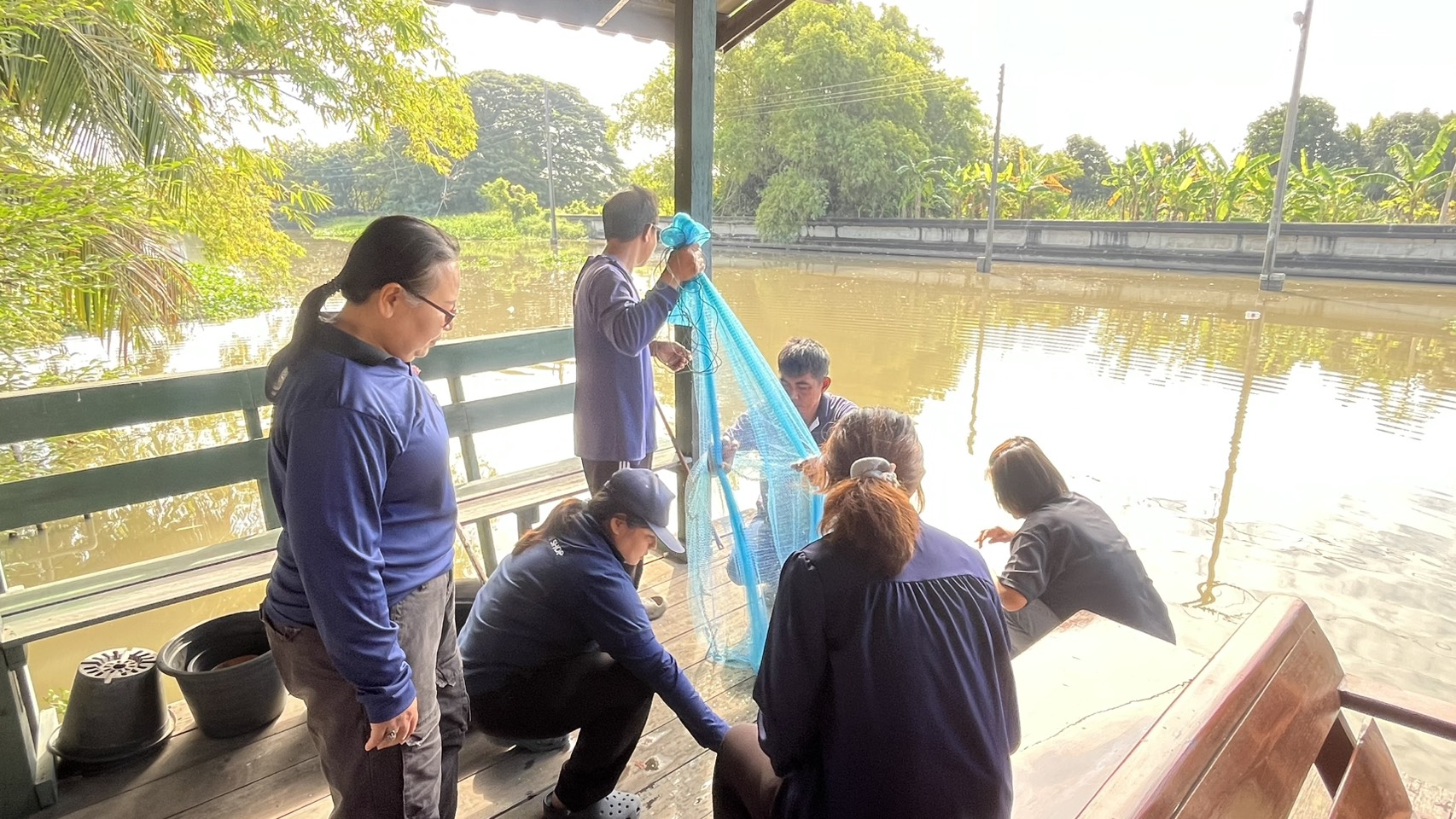 (อ.บางกรวย) การสำรวจปลาหมอคางดำ ตามแผนการแก้ไขปัญหาการแพร่ระบาดของปลาหมอคางดำจังหวัดนนทบุรี..คลิก