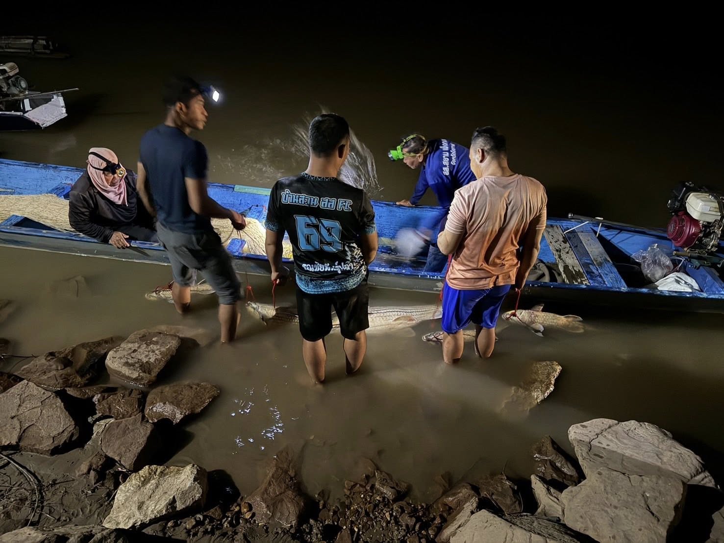 หน่วยเฉพาะกิจเพาะพันธุ์ปลายี่สกไทยในแม่น้ำโขง ศพจ.หนองคาย ขอรายงานผลการปฏิบัติงานโครงการเพาะพันธุ์ปลายี่สกไทย (ปลาเอิน)ในแม่น้ำโขงเพื่อฟื้นฟูทรัพยากรสัตว์น้ำในพื้นที่แม่น้ำโขง