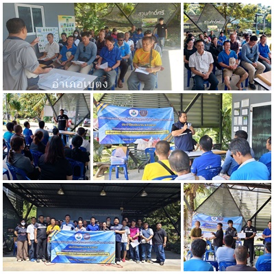 ผลการปฏิบัติงานประจำวันพฤหัสบด