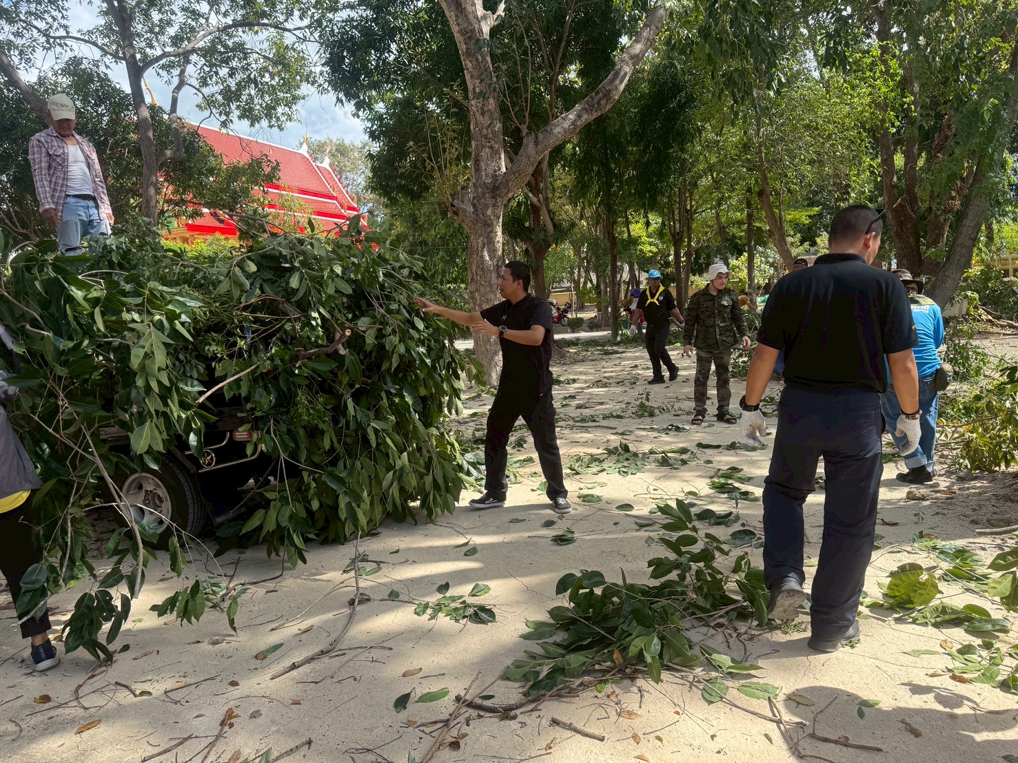 รูป ประกอบบทความ8