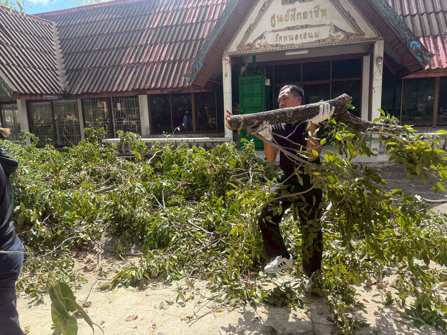 รูป ประกอบบทความ9