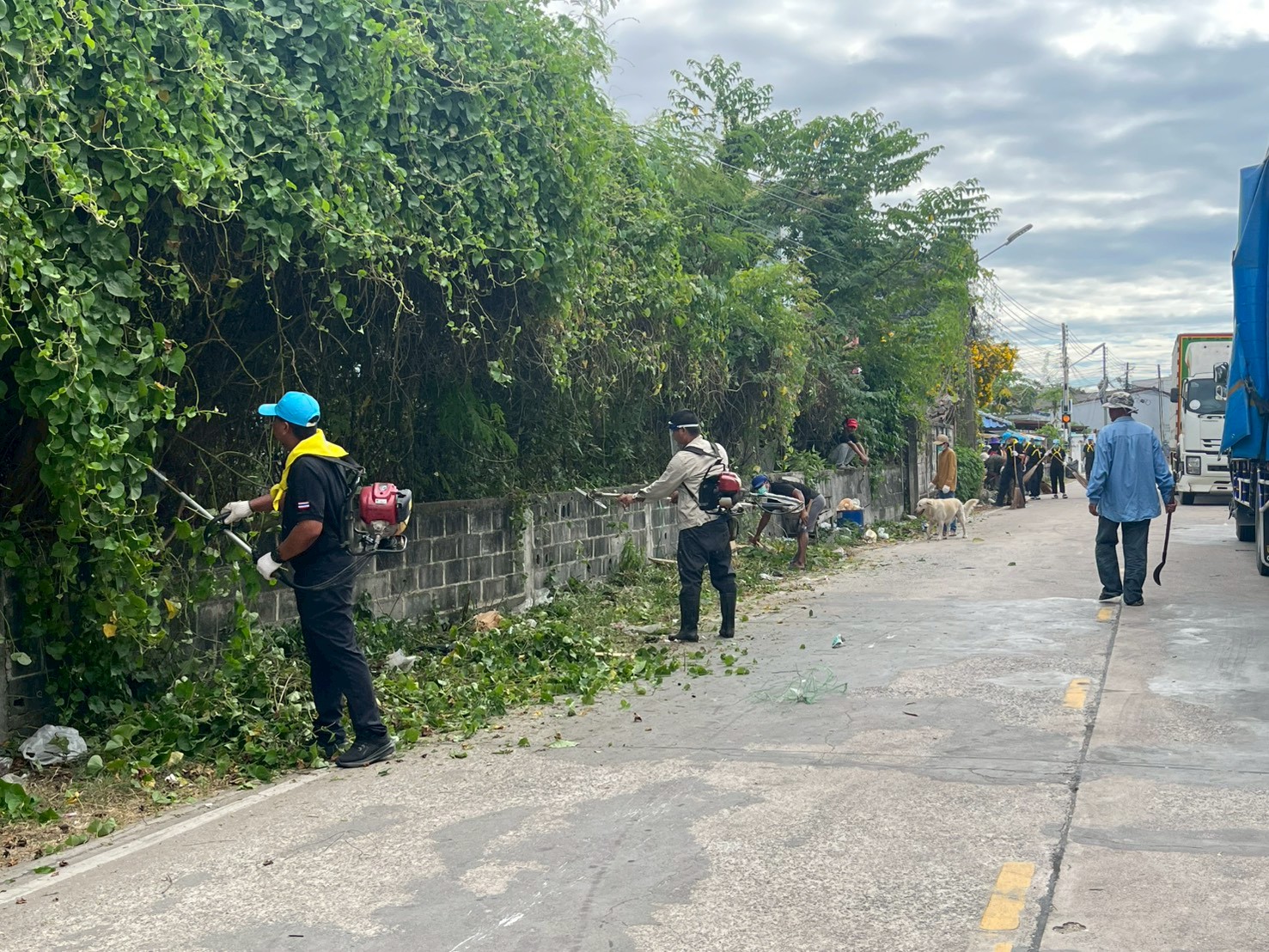 รูป ประกอบบทความ6