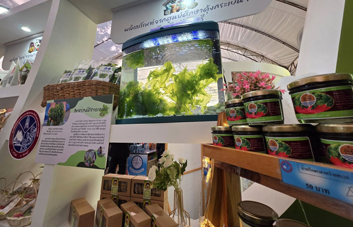 รัฐมนตรีช่วยว่าการกระทรวงเกษตรและสหกรณ์ พร้อมคณะผู้บริหารกระทรวงเกษตรฯ และอธิบดีกรมประมง เยี่ยมชมนิทรรศการ