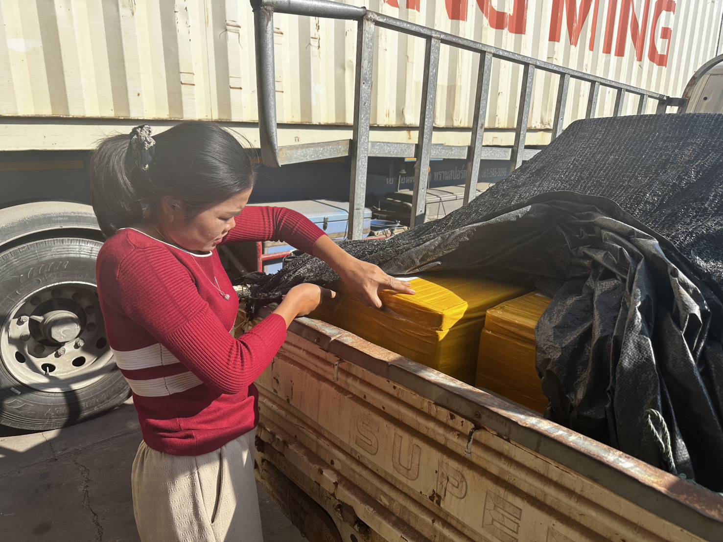 ข่าวกิจกรรม วันที่ 9 ธันวาคม 2568 เจ้าหน้าที่ด่านตรวจประมงนครพนม ตรวจสอบสัตว์น้ำส่งออก ชนิด หอยตลับ มีชีวิต ส่งออกไปยัง เมืองท่าแขก แขวงคำม่วน สปป.ลาว ณ อาคารเก็บของกลางและตรวจสอบสินค้าด่านศุลกากรนครพนม จ.นครพนม..คลิก